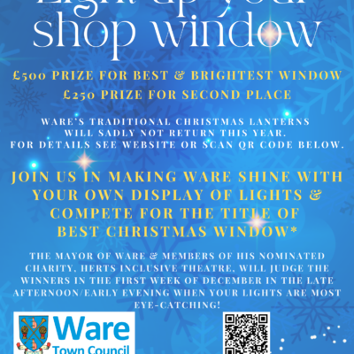 Xmas Light Comp Flyer Edit (a5) Image